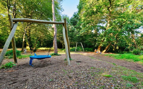 St. Ives 637: Boom, Natuur, Natuurlijke Omgeving, Hout, Speeltoestel, Bos, Dia Van De Speelplaats, Trunk, Woud, Tuin