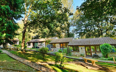 St. Ives 637: Huis, Verblijf, Huis, Struik, Landelijk Gebied, Dak, Land Lot, Menselijke Nederzetting, De Lente, Tuin