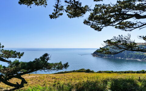 The Old Vicarage: Blauw, Water, Groen, Zwemwater, Blad, Vegetation, Natuurlijk Landschap, Kust, Kust En Oceanic Landvormen, Zee