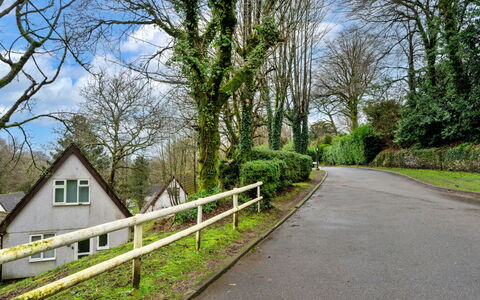 Toblerone Lodge: Afdeling, Boom, Blad, Groen, Gras, Weg Oppervlak, Vegetation, Weg, Struik