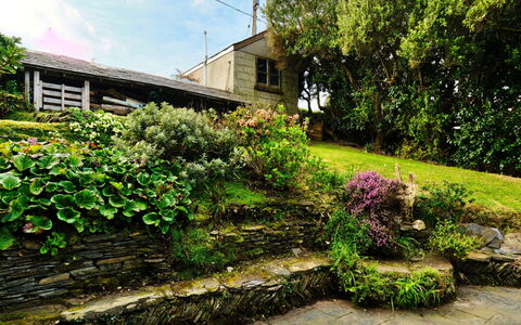 The Cuddy: Groen, Muur, Tuin, Struik, Plantengemeenschap, Groundcover, Stenen Muur, De Lente, Landscaping