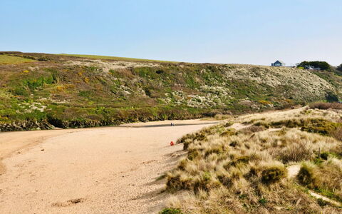 The Cuddy: Natuurlijke Omgeving, Ecoregio, Horizon, Terrein, Zand, Landschap, Plantengemeenschap, Wildernis, Shrubland, Geologie