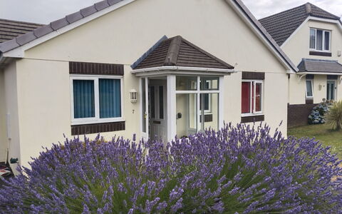 Lavender Waye: Woongebied, Huis, Verblijf, Tuin, Gazon, Schuifraam, Werf, Landgoed, Landscaping, Voorstad