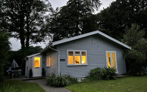 Brockwood: Huis, Huis, Dak, Verblijf, Siding, Struik, Deur, Tuin, Boerderij, Gazon