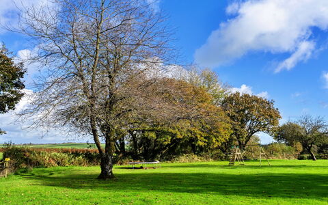 Tarquol Cottage, Stowford: Blauw, Afdeling, Blad, Gras, Groen, Boom, Natuur, Grasland, Vegetation, Takje