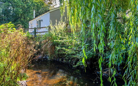 Marsh Cottage: Water, Vegetation, Waterloop, Struik, Plantengemeenschap, Bank, Reflectie, Vijver, Takje