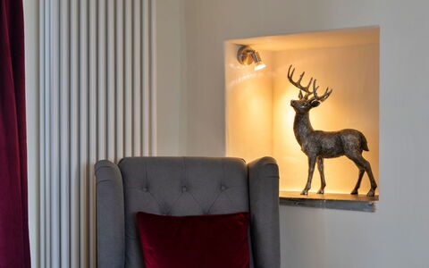 The Cottage at High Bickington: Interieur Ontwerp, Verlichting, Meubilair, Kamer, Fotolijst, Lichte Inrichting, Lamp, Antler, Woonkamer, Natuurlijk Materiaal