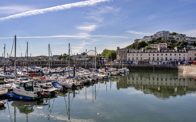 Harbour View