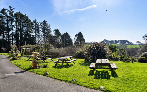 Trimstone Manor - Mill Apartment: Gras, Openluchtbank, Struik, Land Lot, Picknicktafel, Tuin, Gazon, Park, Landscaping, Buitentafel