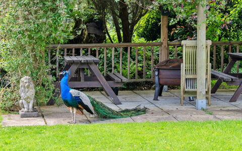 Trimstone Manor - Mill Apartment: Tuin, Openluchtbank, Gazon, Werf