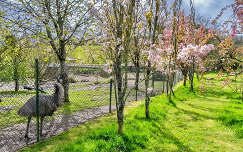 Trimstone Manor - Mill Apartment: Gras, Boom, Afdeling, Natuur, Blad, Struik, Grasland, Tuin, De Lente