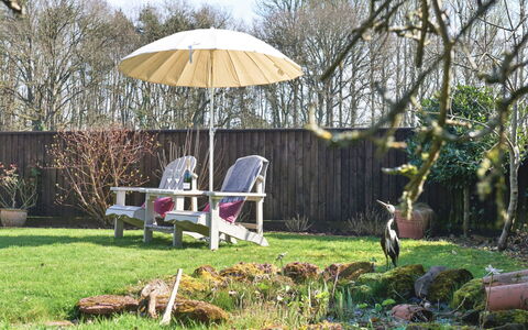 Snuggery: Meubilair, Buitenmeubels, Hout, Stoel, Struik, Tuin, Paraplu, Buitentafel, Gazon, Groundcover