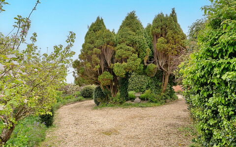 Heselwood: Groen, Blad, Vegetation, Struik, Tuin, Plantengemeenschap, Groundcover, Woody Plant, Botanische Tuin