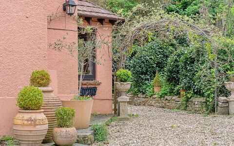 Heselwood: Struik, Bloempot, Tuin, De Lente, Landscaping, Kamerplant, Flagstone, Gang, Steen