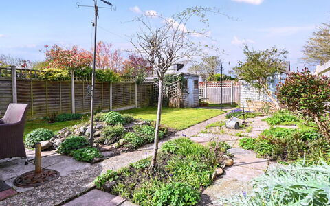 Forget Me Not: Tuin, Struik, Groundcover, Gang, Backyard, Landscaping, Flagstone, Werf, Schaduw