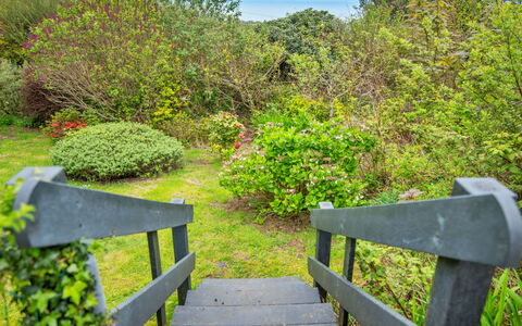 Arfron: Groen, Blad, Natuur, Vegetation, Natuurlijk Landschap, Struik, Plantengemeenschap, Tuin, Groundcover, Natuurgebied