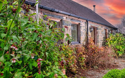 Pandy Farmhouse: Struik, Verblijf, Huis, Dak, Huis, Tuin, Boerderij, Werf, Landscaping, Backyard