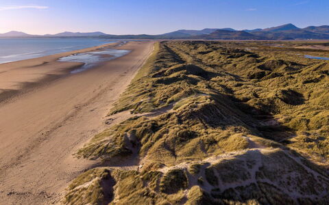 Gorwel: Zand, Ecoregio, Horizon, Kust, Kust, Kust En Oceanic Landvormen, Terrein, Strand, Zee
