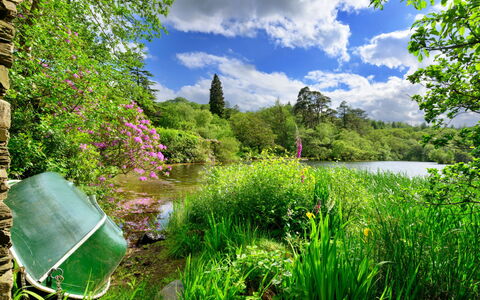 Tafarn Trip: Groen, Natuur, Natuurlijk Landschap, Vegetation, Struik, Tuin, Zomer, Waterloop, Plantengemeenschap, Bank