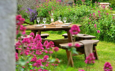Gladstone: Bloem, Meubilair, Buitenmeubels, Tuin, Roze, Buitentafel, Tafel, Struik, De Lente, Groundcover