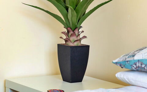 Colwyn Bay 646: Bloempot, Kamerplant, Vaas, Houten Vloer, Hardwood, Beits, Woonkamer, Laminaatvloer