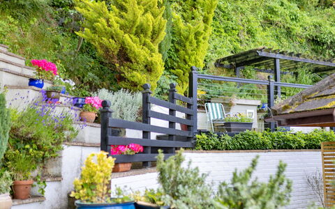 Yr Ardd Bellaf: Bloem, Struik, Tuin, Bloempot, Groundcover, De Lente, Landscaping, Kamerplant, Werf