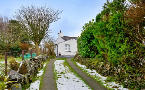 Merddyn Cottage: Struik, Huis, Verblijf, Groundcover, Oprit, Helling, Tuin, Dorp, Landscaping