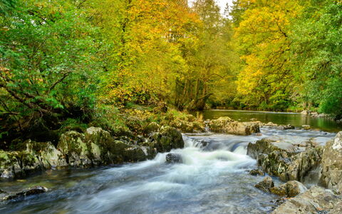 Bod Gwynedd: Water, Watervoorraden, Zwemwater, Blad, Natuur, Afdeling, Waterloop, Groen, Stroom, Natuurlijke Omgeving
