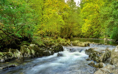 Dyffryn: Watervoorraden, Water, Waterloop, Zwemwater, Afdeling, Natuur, Blad, Groen, Stroom, Natuurlijke Omgeving