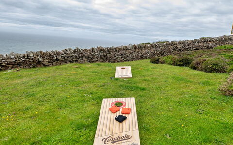 Goferydd: Gras, Grasland, Plain, Zee, Oceaan, Gazon, Kust, Kunstgras