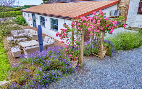 Jabajak Vineyard: Bloem, Struik, Tuin, Verblijf, Groundcover, De Lente, Landscaping, Werf, Boerderij