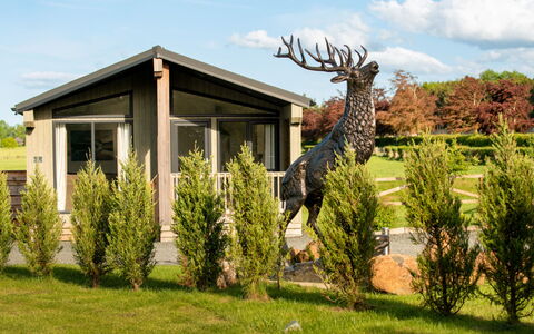 Silverwood Hideaway Lodge: Tableware, Serveware, Kop, Koffiekop, Drinkware, Theepot, Voedsel, Dishware, Theekopje, Porselein