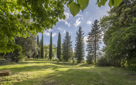 Casa Amelia, Pool, Casole Elsa, Monti: Blad, Boom, Natuur, Groen, Natuurlijke Omgeving, Afdeling, Vegetation, Natuurlijk Landschap, Struik, Plantengemeenschap