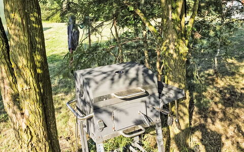 Oaza Spokoju: Bos, Park, Buitenmeubels, Gemeentepark