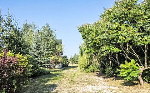 Oaza Spokoju: Vegetation, Struik, Plantengemeenschap, Woody Plant, Tuin, Evergreen, Landscaping, Lariks, Shrubland