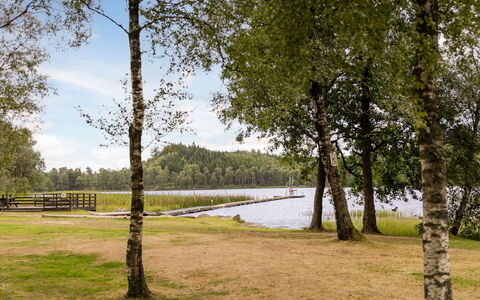 Lantdrömmen: Boom, Gras, Trunk, Meer, Park, Reservoir, Bos