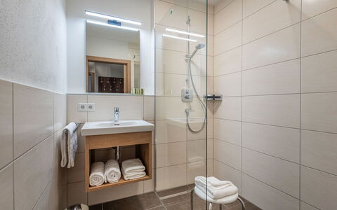 Viehhofen 1: Flooring, Interieur Ontwerp, Verdieping, Kamer, Badkamer, Plafond, Loodgieterswerkinrichting, Kraan, Loodgieter, Tegel