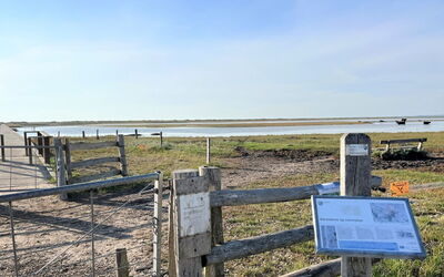 Brynja - 2.5Km from the Sea