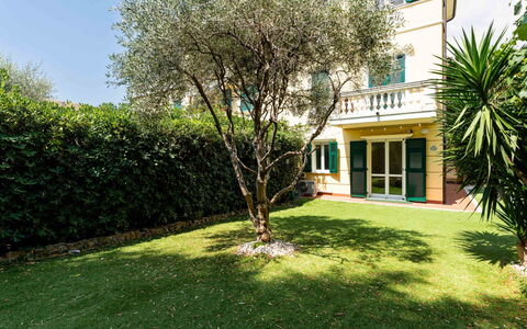 Casa Dell'Ulivo: Groen, Struik, Tuin, Gazon, Haag, Landscaping, Schaduw, Werf, Backyard, Landgoed