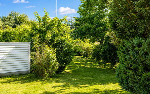 Jennys Pärla: Groen, Blad, Natuur, Vegetation, Struik, Tuin, Groundcover, De Lente, Zonlicht