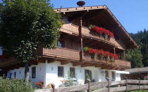 Hopfgarten im Brixental 696: Verblijf, Balkon, Dorp, Bloempot, Kamerplant, Boerderij