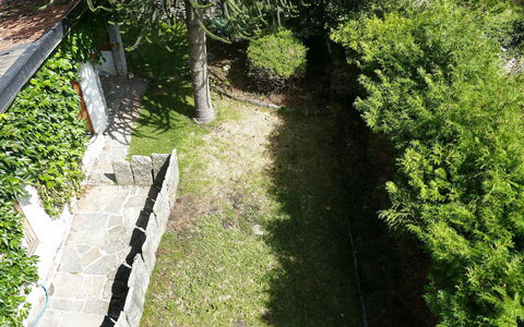 Ludiano 25: Groen, Blad, Struik, Tuin, Groundcover, Schaduw, Backyard, Gang, Werf