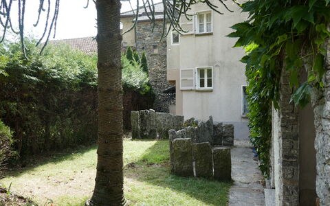 Ludiano 25: Muur, Struik, Groundcover, Tuin, Stenen Muur, Backyard, Landscaping, Werf, Gang, Binnenplaats