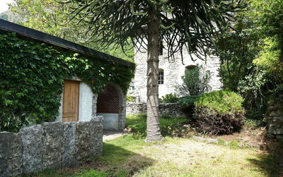Ludiano 25: Blad, Struik, Tuin, Stenen Muur, Schaduw, Backyard