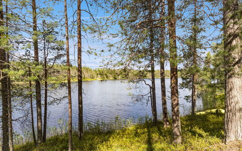 Hakojärventie 3B: Watervoorraden, Water, Zwemwater, Groen, Boom, Natuur, Natuurlijke Omgeving, Natuurlijk Landschap, Blad, Vegetation