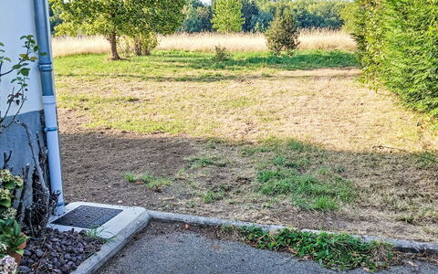 Puys-Richards: Gras, Struik, Groundcover, Tuin, Gazon, Bodem, Backyard, Werf, Landscaping