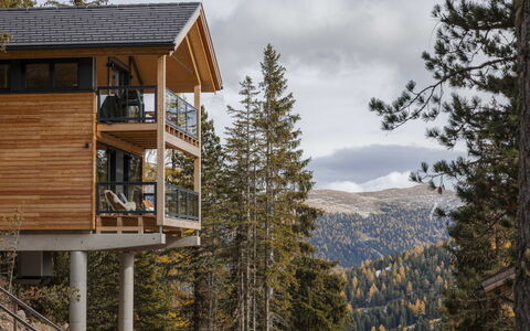 03 Nth029 Premium Chalet mit Sauna und Hot Tub: Hout, Verblijf, Lariks, Blokhut, Balkon, Timmerhout, Veranda, Hardwood