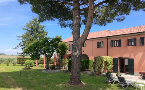 Ca' Rustica: Struik, Landgoed, Hacienda, Tuin, Landscaping, Werf, Gazon, Oprit, Schaduw, Villa