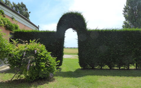 Ca' Rustica: Struik, Haag, Tuin, Landscaping, Gazon, Evergreen, Plantage
