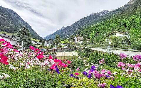 Jana: Zwembad, Boerderij, Landgoed, Villa, Toevlucht, Hacienda, Eco Hotel, Backyard